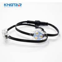 Luces LED de Punto a Todo Color para Exteriores, Impermeables IP67, DC12V, 2 Años de Garantía, Iluminación Navideña para Edificios y Paisajes