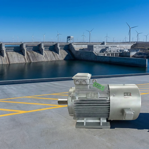 Generador Magnético de 10kw de Bajo Ruido para Sistema de Energía de Respaldo, Funcionamiento Suave - Product Image 4