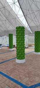 Nieuwe Landbouwkas Aeroponische Tuinplant Verticale Hydrocultuurtoren - Product Image 3