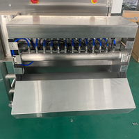 Máquina de Rayos X para Detección de Contaminantes en Alimentos a Granel, para Cereales, Frutos Secos, Frutas y Verduras Deshidratadas