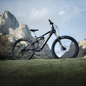 Bicicleta de montaña eléctrica de carbono DJI amflow PL con sistema de transmisión DJI avinox pantalla de control LED incorporada SUSPENSIÓN COMPLETA ebike MTB ebike - Product Image 3