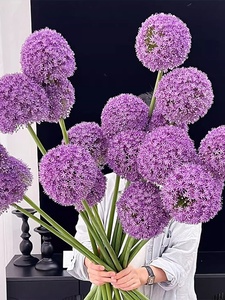 Gia đình sắp xếp Vân Nam tóc thẳng hành lá tím Hà Lan nhập khẩu Hoa hành lá tím thủy canh cắt tươi - Product Image 2