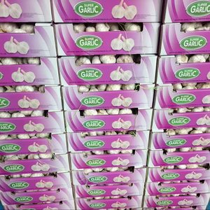 <span class=keywords><strong>Ail</strong></span> Ajo Alho <span class=keywords><strong>Ail</strong></span> frais à bas <span class=keywords><strong>prix</strong></span> Vente en gros <span class=keywords><strong>Ail</strong></span> blanc de fournisseur chinois vérifié Légumes frais - Product Image 1