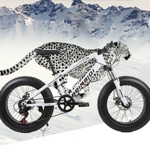 Vélo de montagne Beinaiyi 20 pouces avec pneus larges de 4,0 pouces, fourche à suspension, jantes en alliage d'aluminium, unisexe pour enfants - Product Image 4