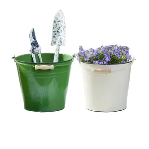 Personalized Garden Tool Flowerpot Spray Powder Green Custom Beer Bucket With Wooden Handle Gift For Men