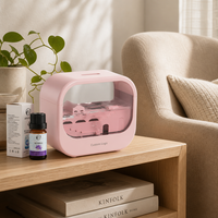 Diffuseur d'arômes Micro Paysage Goutte de Pluie 250ml, Brume Silencieuse, Veilleuse LED, Humidificateur USB pour Huiles Essentielles, en Plastique, pour Table