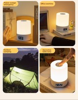 Lampe de chevet portable à lumière chaude USB-C pour chambre à coucher, longue autonomie, réglable, personnalisable, CE RoHS OEM ODM