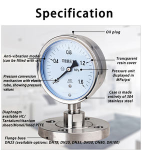 ตัววัดความดันไดอะแฟรมแบบหน้าแปลนเกจวัดความดันแบบบรรจุน้ำมัน - Product Image 3