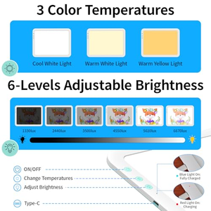 แผ่นไฟ LED A3 สำหรับวาดภาพแบบชาร์จไฟได้ พร้อมปรับอุณหภูมิสีได้ (3000K-6500K) ชาร์จผ่านพอร์ต Type-C - Product Image 5