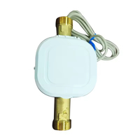 Compteur d'eau ultrasonique en fonte et plastique DN15-DN25 Lora Modbus M-Bus WM-Bus Pulse RS485 Lorawan