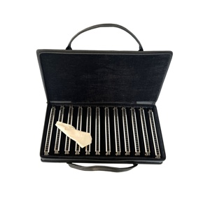 Harmonica diatonique professionnelle Seasound Factory à 24 trous, 12 lames en résine argentée, acier inoxydable, ABS, harmonica pas cher JH024-12 - Product Image 4