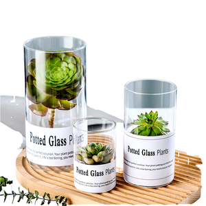 <span class=keywords><strong>Vaso</strong></span> moderno da tavolo moderno <span class=keywords><strong>con</strong></span> <span class=keywords><strong>vaso</strong></span> di vetro succulento <span class=keywords><strong>vaso</strong></span> di <span class=keywords><strong>piante</strong></span> in vetro minimalista europeo - Product Image 4