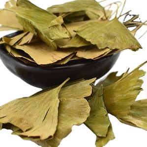 Bai Guo Ye Feuille De <span class=keywords><strong>Ginkgo</strong></span> Séchage Brut Nouvelles <span class=keywords><strong>Feuilles</strong></span> De <span class=keywords><strong>Ginkgo</strong></span> <span class=keywords><strong>Biloba</strong></span> Séchées Naturelles De Haute Qualité - Product Image 2