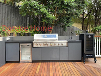 Meubles de barbecue vert oeuf armoire de cuisine extérieure modulaire en acier noir avec le four à briques italiennes ensemble de cuisine extérieure en bois