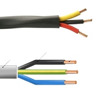 Cuivre pur 2c 3c 1.5mm 2.5mm Twin + câble plat de terre