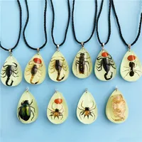 Mode éternel insecte collier séché insecte collier goutte d'eau lueur insecte ambre pendentif collier bijoux cadeau pour les femmes