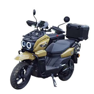 Usine chinoise fabriquant des motos ODM au design élégant, ultra-résistantes, à deux places, 1000W - Product Image 3