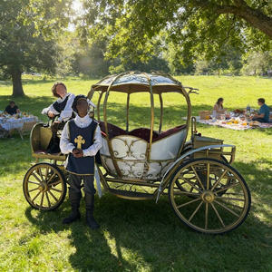 Nuevo lanzamiento para eventos especiales: Limusina turística estilo inglés, carruaje real con caballos - Product Image 4