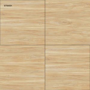 Azulejos de Piso Modernos de Alta Calidad con Acabado Brillante ST66001 60x60cm Resistentes al Desgaste Antibacterianos Antideslizantes para Baño Apartamento Villa - Product Image 1