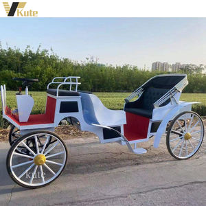 Carroza Turística Eléctrica para Paseos, Vehículo Turístico para Parques de Atracciones y Jardines Florales - Product Image 6