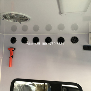 Vendo ambulanze usate per grandi spazi 4x2 - Product Image 5