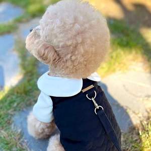 Gli amanti degli animali domestici con stampa dolce amore disegnano vestiti autunno inverno vestito <span class=keywords><strong>da</strong></span> <span class=keywords><strong>cane</strong></span> e gilet per cani - Product Image 3