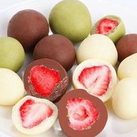 OEM Vente en gros de collations populaires au chocolat composé de fruits, 60g, fraises lyophilisées, collations exotiques en sachet