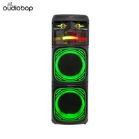 Système audio de karaoké avec haut-parleur extra bass, microphone, éclairage RGB, batterie rechargeable, capacité de production en série, puissance de sortie 100-300W