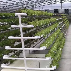 agriculture lettuce grow nft vertical hydroponic growing system indoor for garden