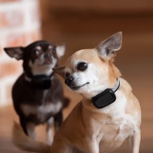 Dog Training Waterproof Eco-Friendly <b>Plastic</b> Underground Portable Shock Collar Pet <b>Fence</b> System Wireless Electric Dog <b>Fence</b> - Product Image 4