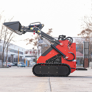 <b>Track</b> Mini Skid Steer Loader for Hot Sale - Product Image 2