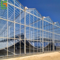 Kit complet pour serre en verre avec système hydroponique à la fraise pour l'agriculture