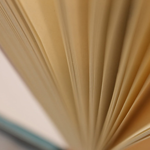 Livre relié en couverture rigide durable, reliure cousue, collection bibliothèque - Product Image 4