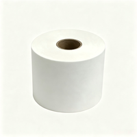 Hoogdoorlatend, milieuvriendelijk, wegwerpbaar koffiefilterpapier van 10 cm, 350 m/rol, kleine rol, voor restaurants, hotels en koffieverbruiksartikelen