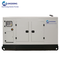 Pasokan Pabrik Genset Biogas 62.5kVA Harga Set Generator 50kW Mesin Yuchai YC4D90N-D30 Tipe Terbuka untuk Penggunaan Rumah Tangga