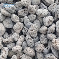 Galets de roche volcanique gris naturel 10-30 mm, pierre de lave poreuse pour aménagement paysager et décoration végétale