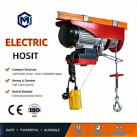 Mini palan électrique portable sans fil, anticorrosion, résistant à l'usure, 110V 220V, 0,25t, pour entrepôt et atelier
