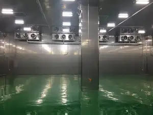 Industrie-Schwelgerät Gefrierschrank und Kühlschrank Kühlkammer Kühllager für Rindfleisch und Fisch
