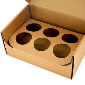 Boîte d'emballage de plantes <span class=keywords><strong>en</strong></span> <span class=keywords><strong>carton</strong></span> ondulé personnalisé avec inserts Boîte <span class=keywords><strong>en</strong></span> papier kraft <span class=keywords><strong>pour</strong></span> pots de plantes succulentes, <span class=keywords><strong>semis</strong></span>, herbes et fleurs, coffrets cadeaux - Product Image 4