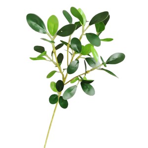 สเปรย์ <span class=keywords><strong>Ficus</strong></span> สีเขียวมันวาวเทียมใบใบ <span class=keywords><strong>Ficus</strong></span> สีเขียวแบบเต็มตัว - Product Image 5