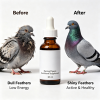 Comprimés Motivational Pigeon K9 Praventa Pulgas Geledor, Complément pour pigeons voyageurs, Gouttes pour la santé, l'immunité et les soins des plumes, OEM