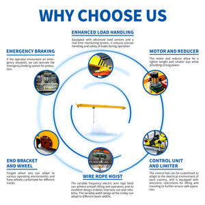 Grúa Puente Monoviga Personalizable de 1 a 10 Toneladas para Taller Químico - Product Image 5