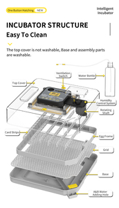 WONEGG NEW Quail Duck Goose <strong>Egg</strong> <strong>Incubator</strong> In Dubai <strong>48</strong> Thermostat Humidifier For <strong>Egg</strong> <strong>Incubators</strong> - Product Image 5