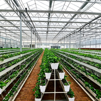 Serre agricole multi-chapelles en verre à structure galvanisée robuste, anti-vent, personnalisable et adaptée aux environnements difficiles, pour usage commercial