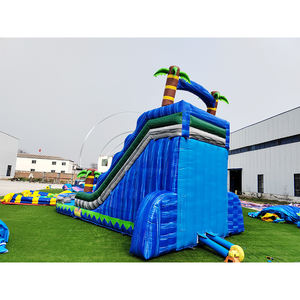 Toboggan aquatique gonflable de qualité commerciale pour adultes, toboggan aquatique gonflable en forme de palmier avec piscine, toboggans gonflables en PVC colorés - Product Image 5