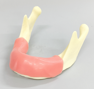 Modello Mandibolare per Formazione Implantologia Dentale con Gengive Rimovibili, Modello di Pratica per <span class=keywords><strong>Mascella</strong></span> Edentola per Studenti di Chirurgia Orale - Product Image 6