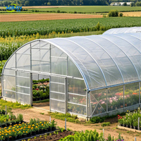 Serre tunnel arche grande en acier galvanisé avec film plastique pour culture de tomates, fenêtre de ventilation portable, vente en gros