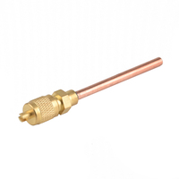 Pièces de réfrigération Valve d'accès Valve de charge Valve à broche en cuivre