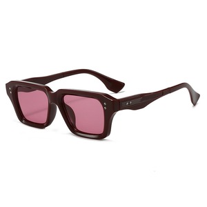 2025 <strong>New</strong> <strong>Style</strong> Rectangular Square Pc Frame Unisex Leopard Sun <strong>Glasses</strong> Men and Women Uv400 Vintage Sunglasses - Product Image 6