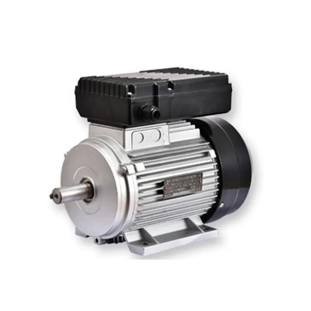 EIectric Motor ML800-2-0.55KW/0.75HP ML Series Single-phase Induction Motor
